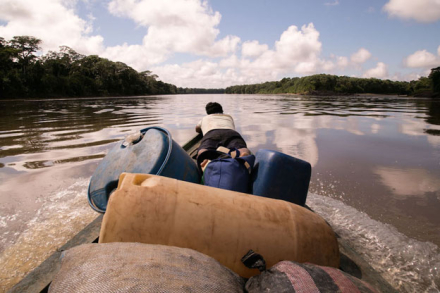 amazonia4.jpg