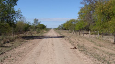 Día del Camino y la Educación Vial