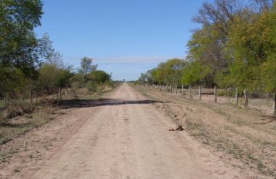 Día del Camino y la Educación Vial 