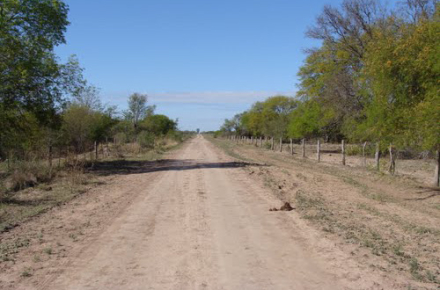 Dia del Camino 2.jpg