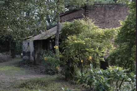 vivienda4.jpg