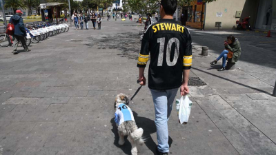 Un perro llamado Messi pasea por las calles de Quito