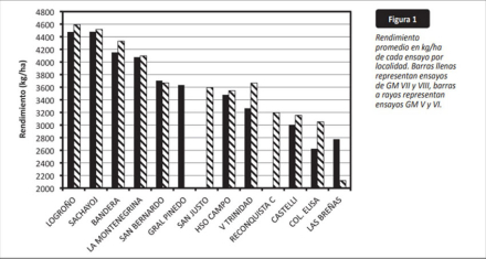 58SOJA-GRAFICO-2.jpg