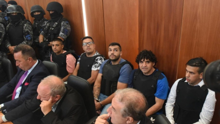 los monos2.jpg