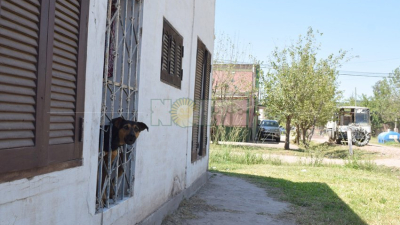 El perro “Maravilla” evitó que un sujeto se llevara a un niño en el barrio Santa Elena