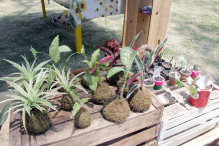 jardineria.jpg