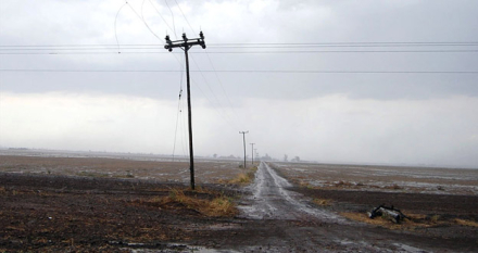 LLUVIA-EN-EL-CAMPO2.jpg