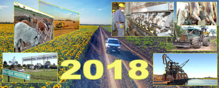 RURAL 3 Enero 2018.jpg