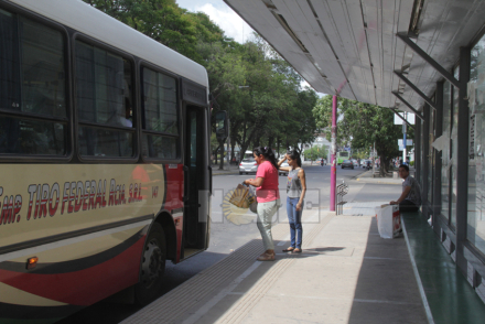colectivo1.jpg