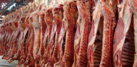 carne2.jpg