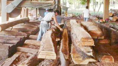 Energía alternativa: el Chaco también podría dar un paso adelante
