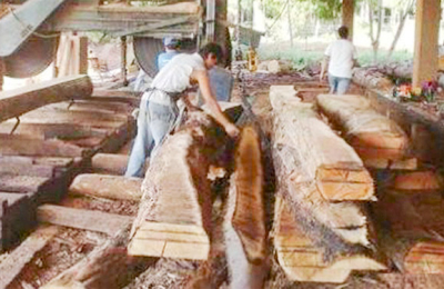 Energía alternativa: el Chaco también podría dar un paso adelante