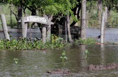 Tormentas en el área metropolitana