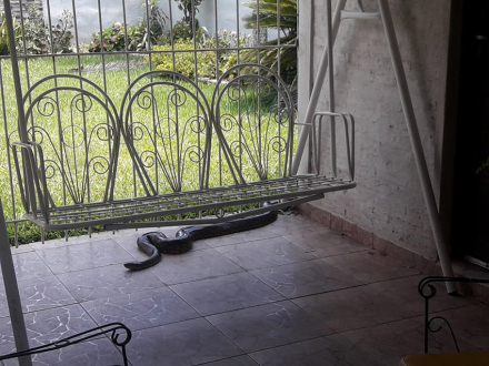 EN-LA-CASA.jpg
