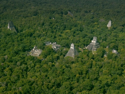 maya.jpg