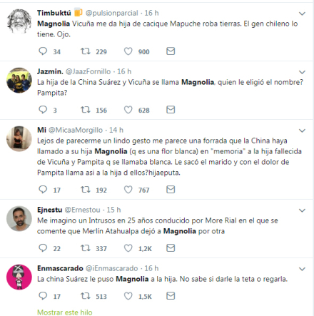 magnolia2.jpg