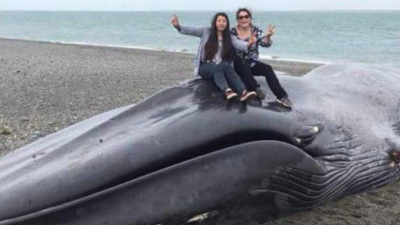 Se subieron a una ballena azul muerta y la rayan para dejar un mensaje