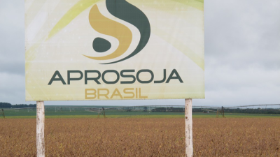 Brasil: no hay patente para la soja de Monsanto