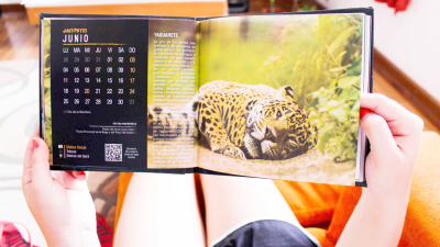 Un libro con identidad propia
