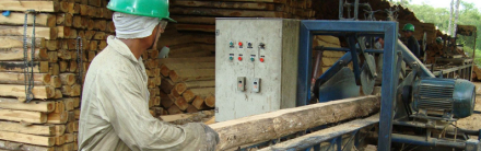 forestal_bloqueadora-de-cadenas1.jpg