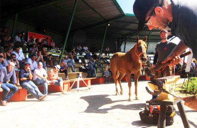 Todo listo en Corrientes para el tercer Congreso Equino