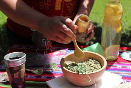 mates01.jpg