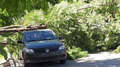 Calor récord para abril en Sáenz Peña: la térmica llegó a los 36 grados este miércoles