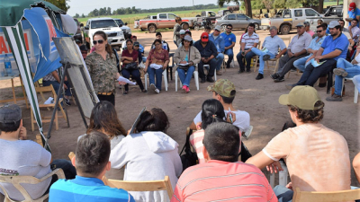 La alfalfa recupera terreno en el sudoeste chaqueño