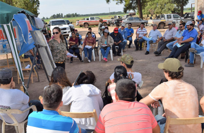 La alfalfa recupera terreno en el sudoeste chaqueño