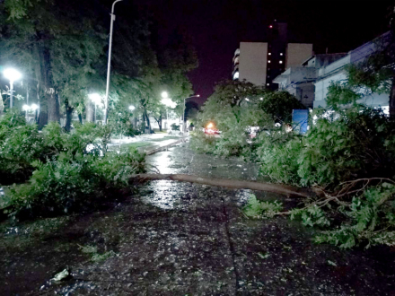 tormenta01.jpg