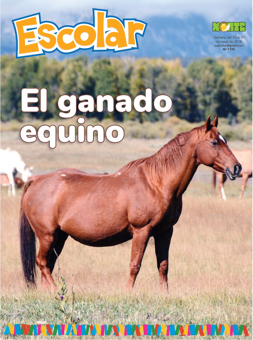 El ganado equino