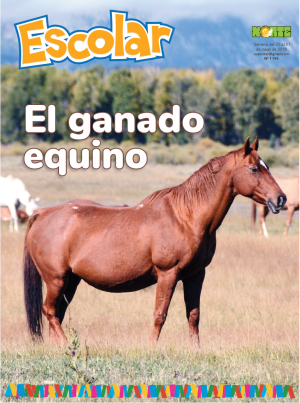 El ganado equino