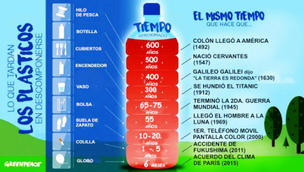 escolar4.jpg