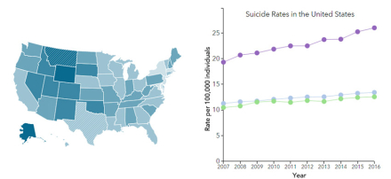 SUICIDE-RATES-USA.jpg