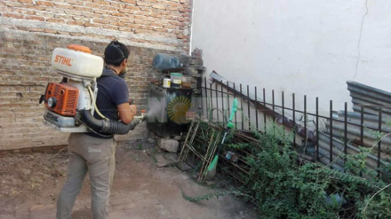 fumigacion.jpg