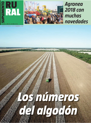 Los números del algodón