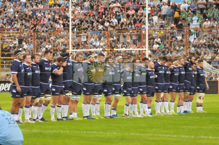 pumas4.jpg
