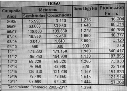 trigo2.jpg
