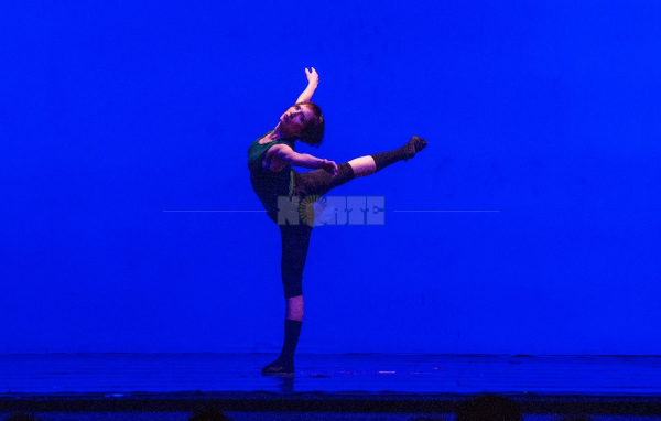<p>Ballet Contemporáneo del Chaco</p>
<p> </p>
<p> </p>