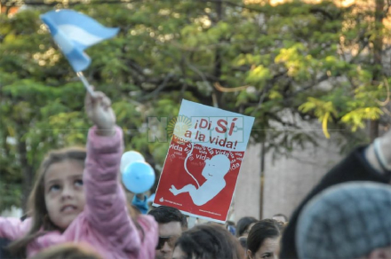 provida01.jpg