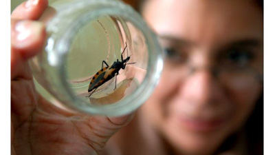 Enfermedad de Chagas: nacen 1.400 bebes infectados por año