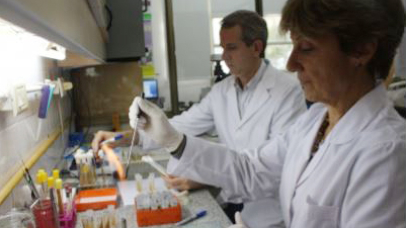 Advierten aumento de casos de una enfermedad en el NEA