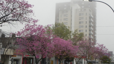 Densa niebla en la ciudad: piden precaución a conductores
