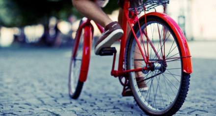 bici5.jpg