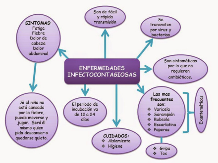escolar2.jpg