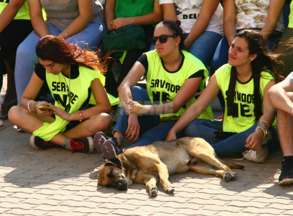 <p>Los jóvenes de distintas provincias que llegaron a Itatí fueron los protagonistas de esta<br />jornada de celebración de la fe.</p>