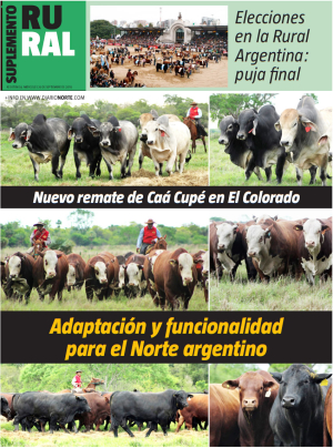 Nuevo remate de Caá Cupé en El Colorado