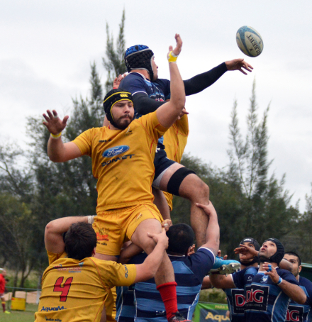 Rugby.jpg