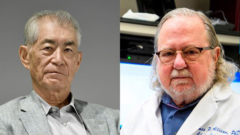El Nobel de Medicina premió la inmunoterapia del cáncer