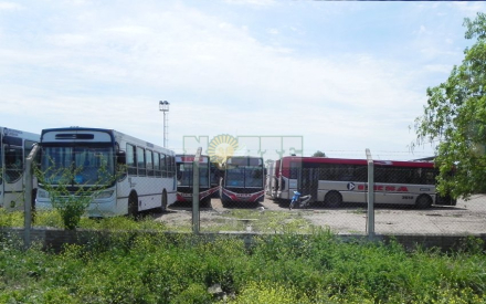 colectivo.jpg
